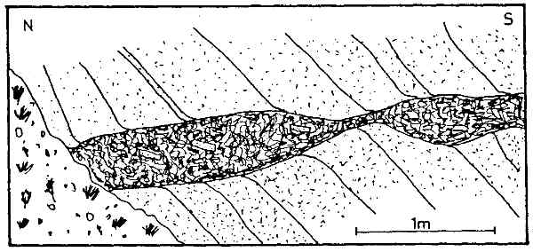 S&ouml;hlige Ruschel